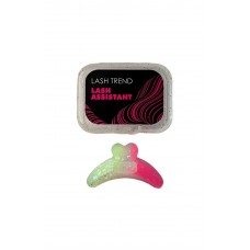 LASH Assistant